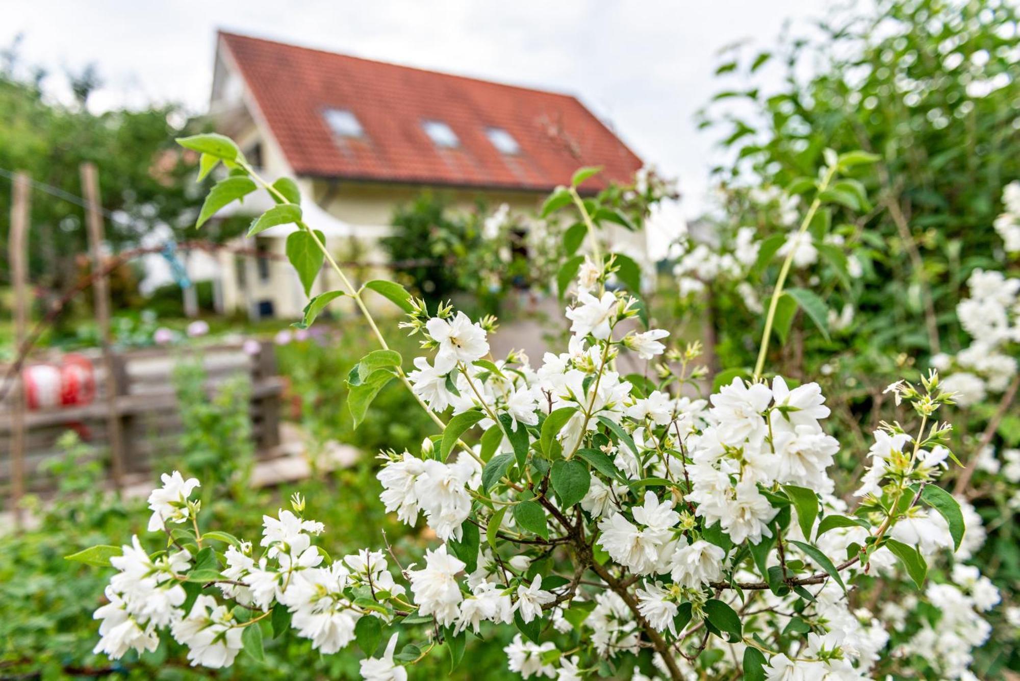 Beutenmuehle Straussenfarm Dach Owingen Bagian luar foto